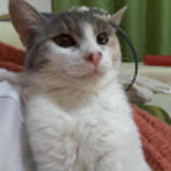 Meet your Posher, Undram - Picture 1 of 1